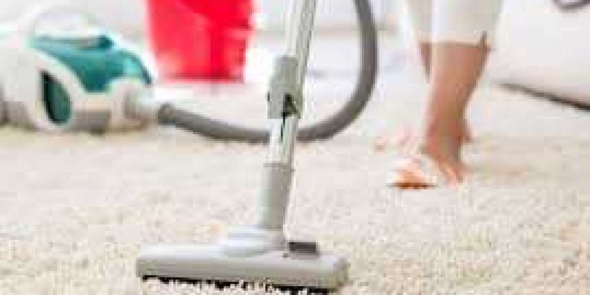 Professional Carpet Cleaning: The Key to Preserving Carpet Integrity