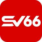 sv666co Profile Picture