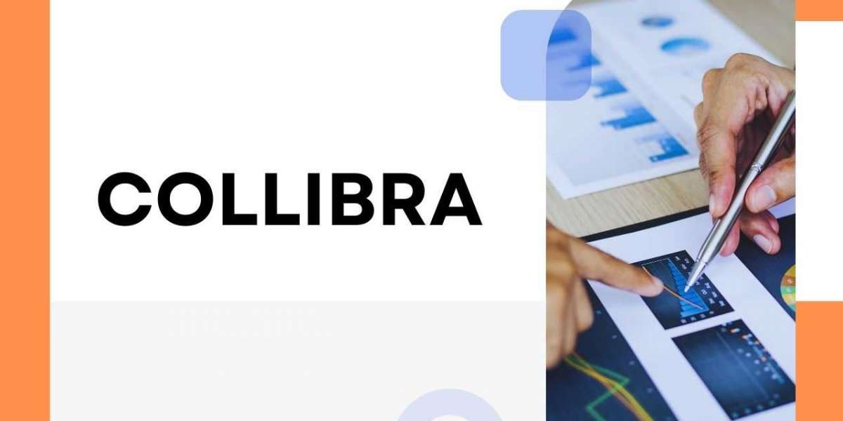 Empowering Data-Driven Decisions with Collibra