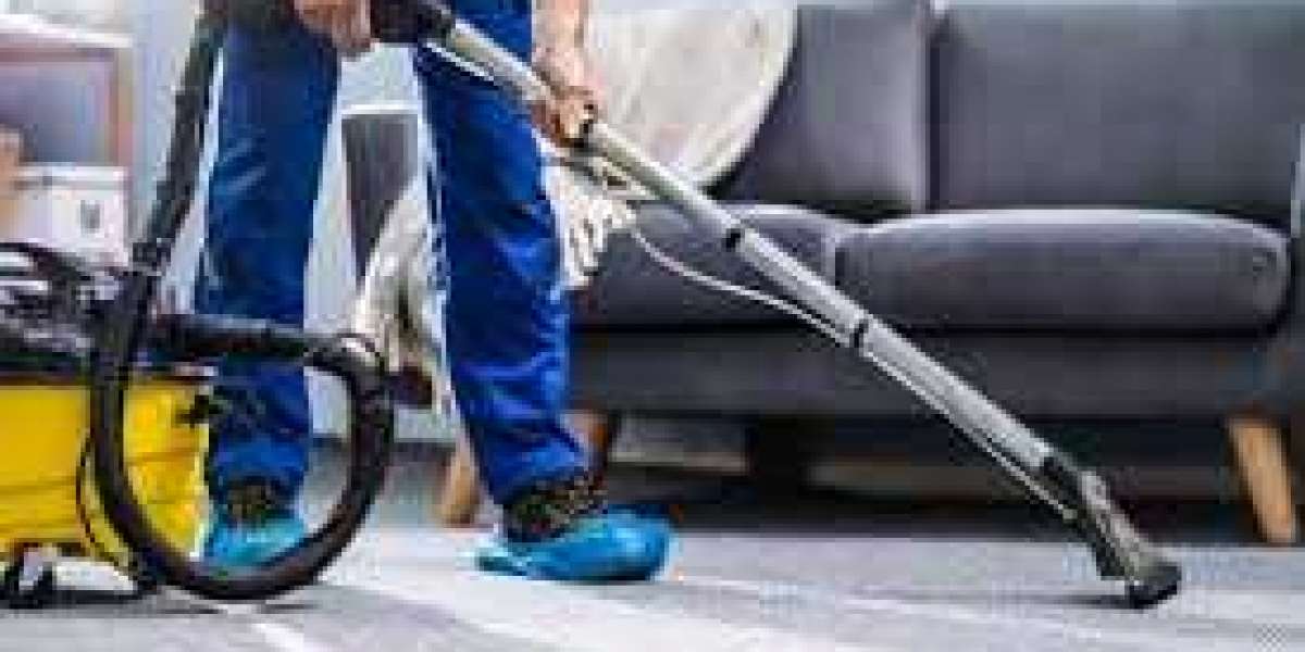 The Vital Role of Professional Carpet Cleaning in Every Home