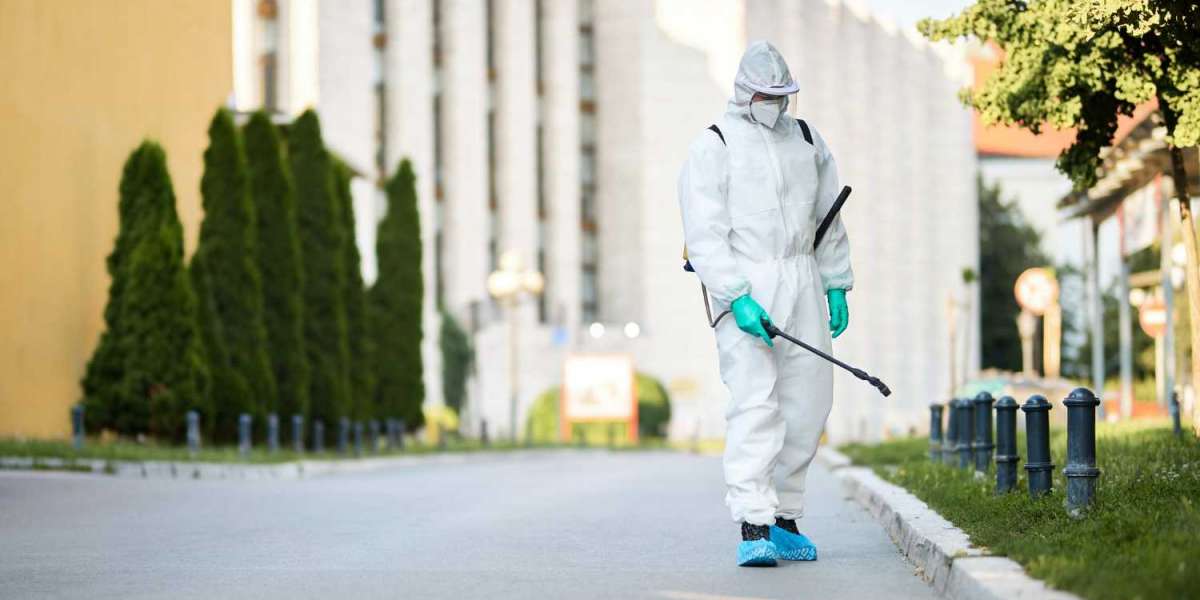 Choosing the Right Commercial Pest Control Company for Your Business