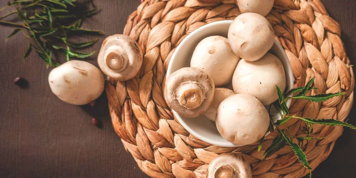 Mushroom Market Size, Outlook Research Report 2023-2032