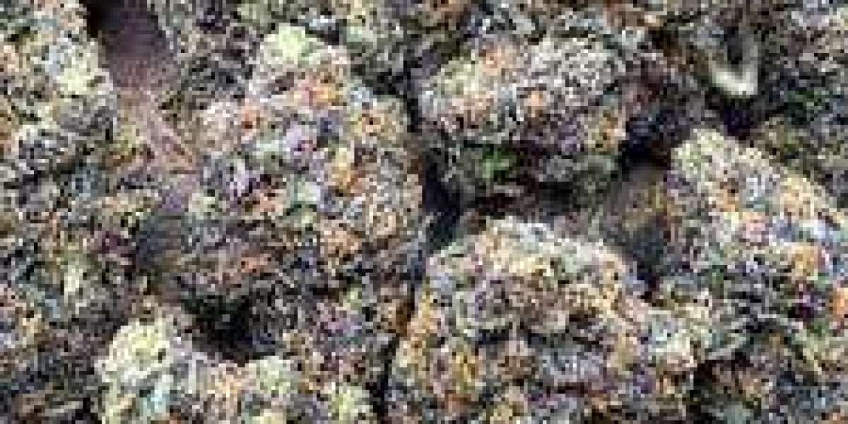 The Benefits of Choosing Legal THC Flower for Your Cannabis Needs