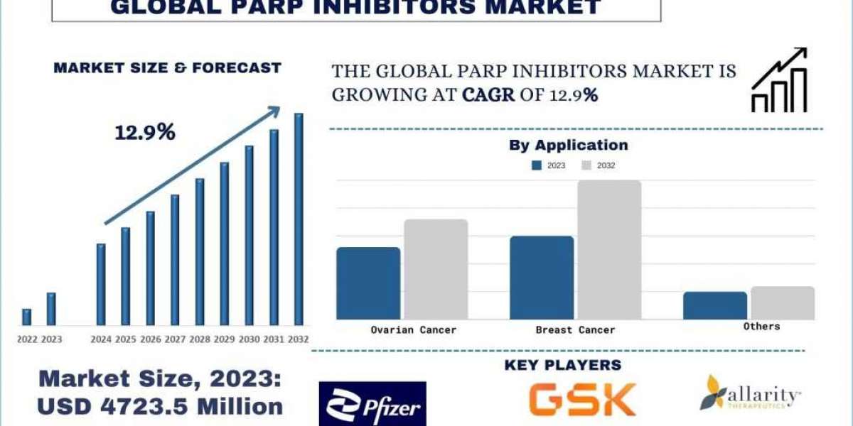 PARP Inhibitors Market: Current Analysis and Forecast (2024-2032)