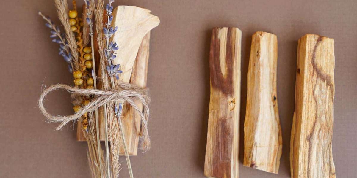 Palo Santo Wood Sticks: Everything You Should Know About It