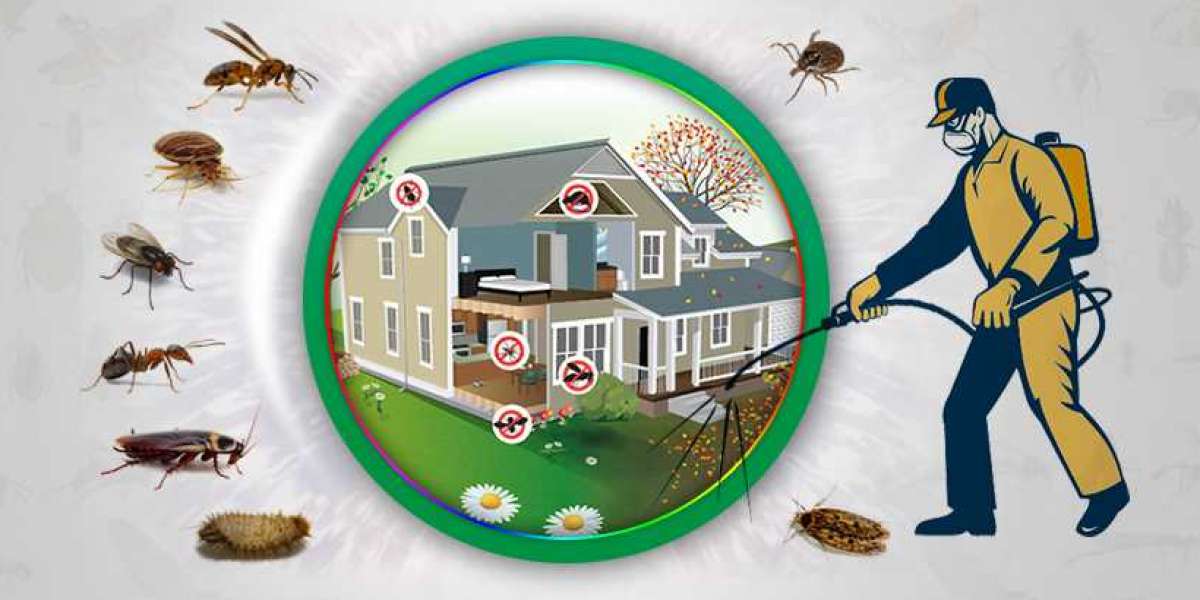 Best Pest Control in Pakistan | Friends Pest Solution