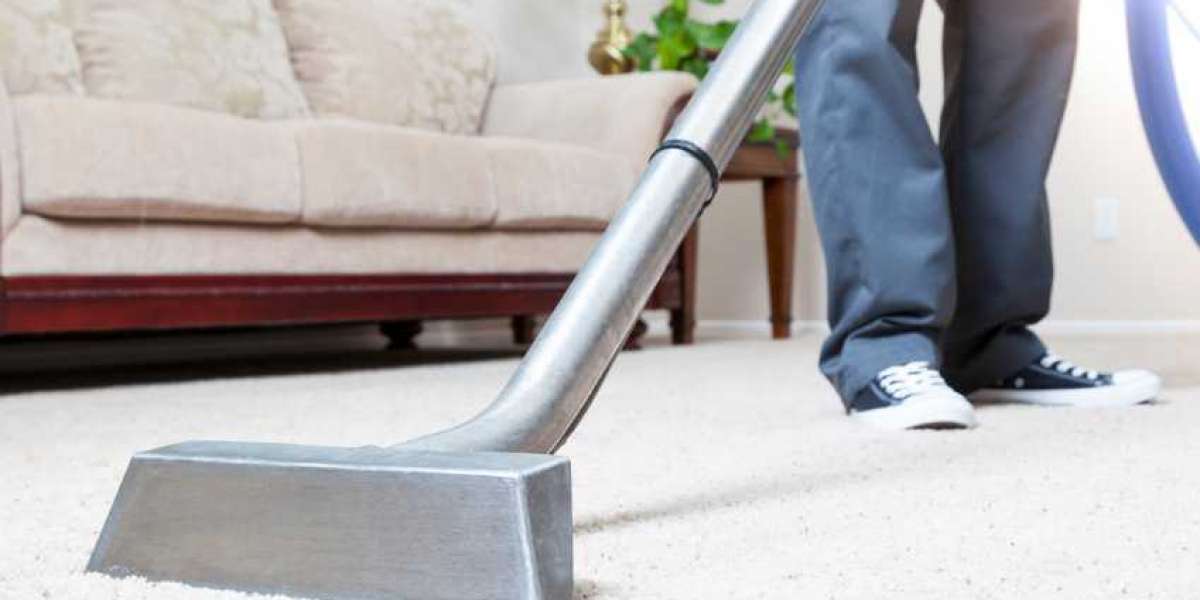 The Importance of Carpet Cleaning Pros