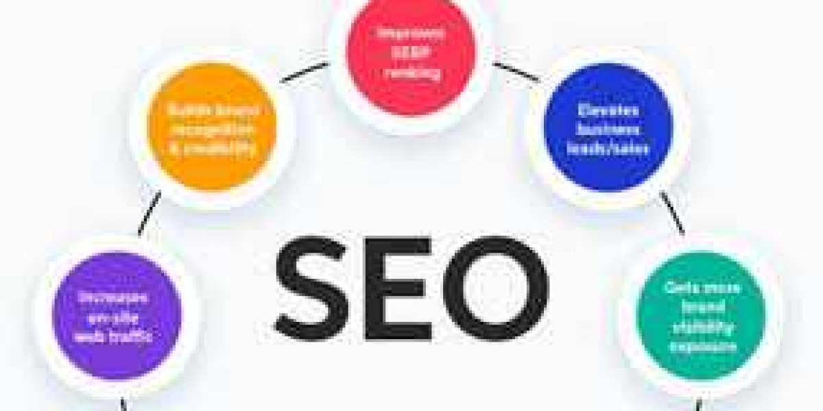 Unlocking Digital Success with Digivigyan: Your Go-To for SEO Services in Delhi