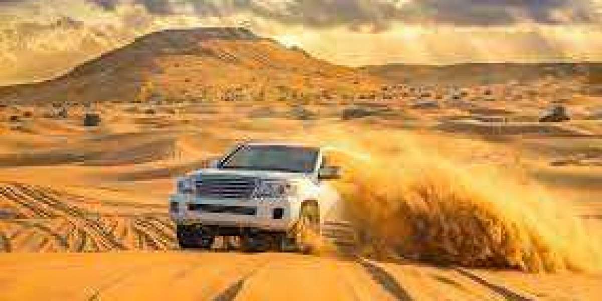 Luxury Meets Adventure: Dubai’s Premier Desert Safari Tours