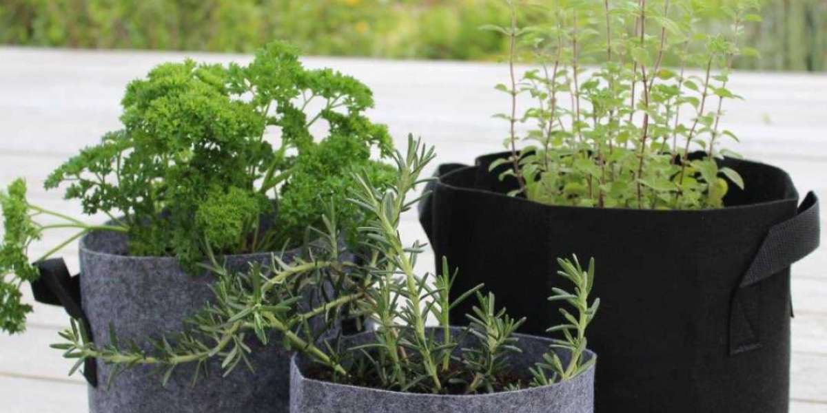 Planter Bags: A Practical and Eco-Friendly Gardening Solution for All Types of Plants