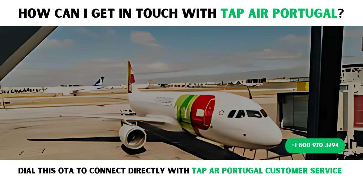 How can I get in touch with TAP Air Portugal?