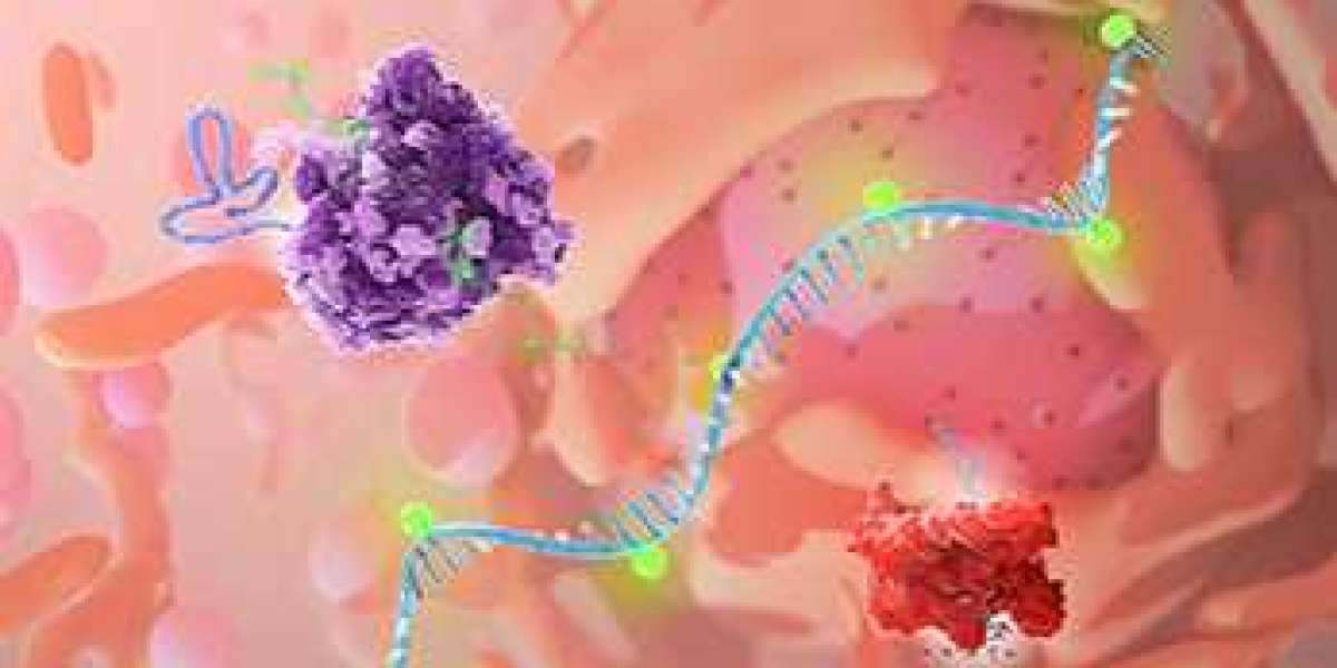 Engineering modified RNA polymerase to purify mRNA production and reduce immunostimulatory byproducts