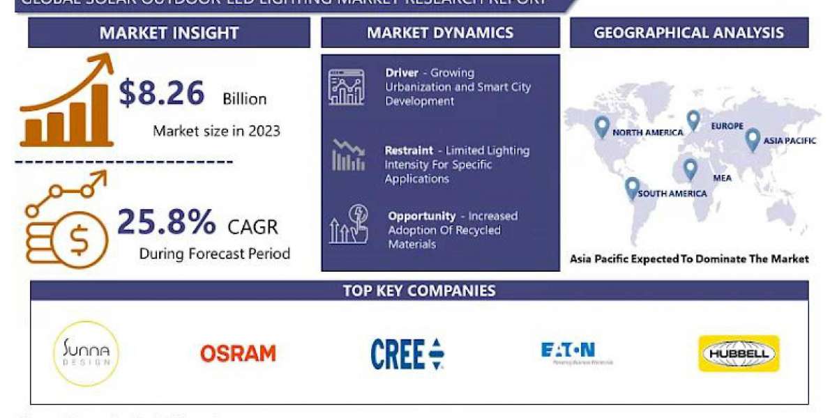 Solar Outdoor LED Lighting Market Strategic Planning and Market Entry Analysis