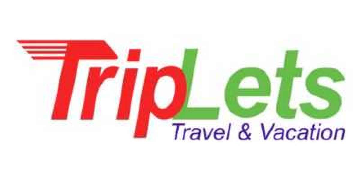 Best Travel Consultants in Brampton, Ontario