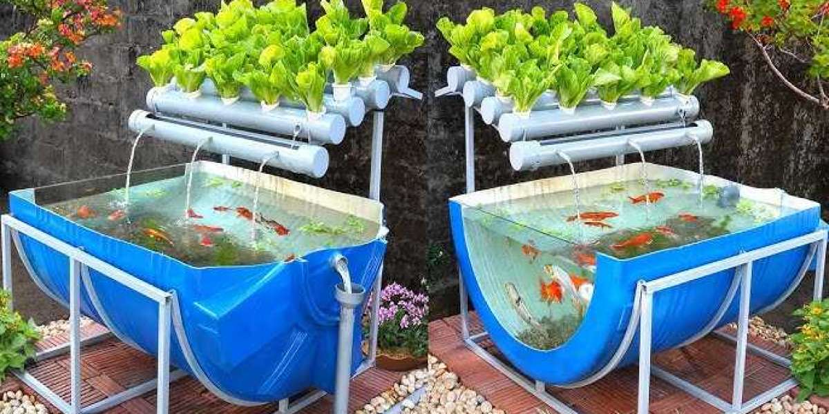 Aquaponics Market 2023: Global Forecast to 2032