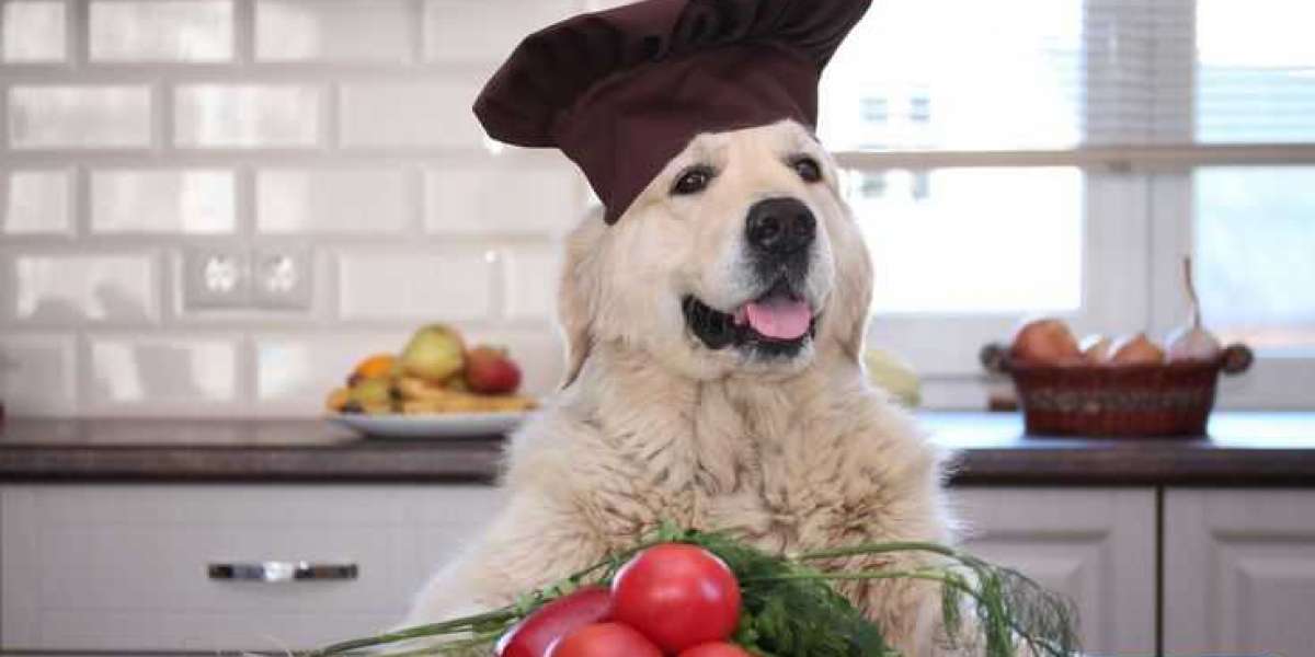 Can Dogs Eat Tomatoes