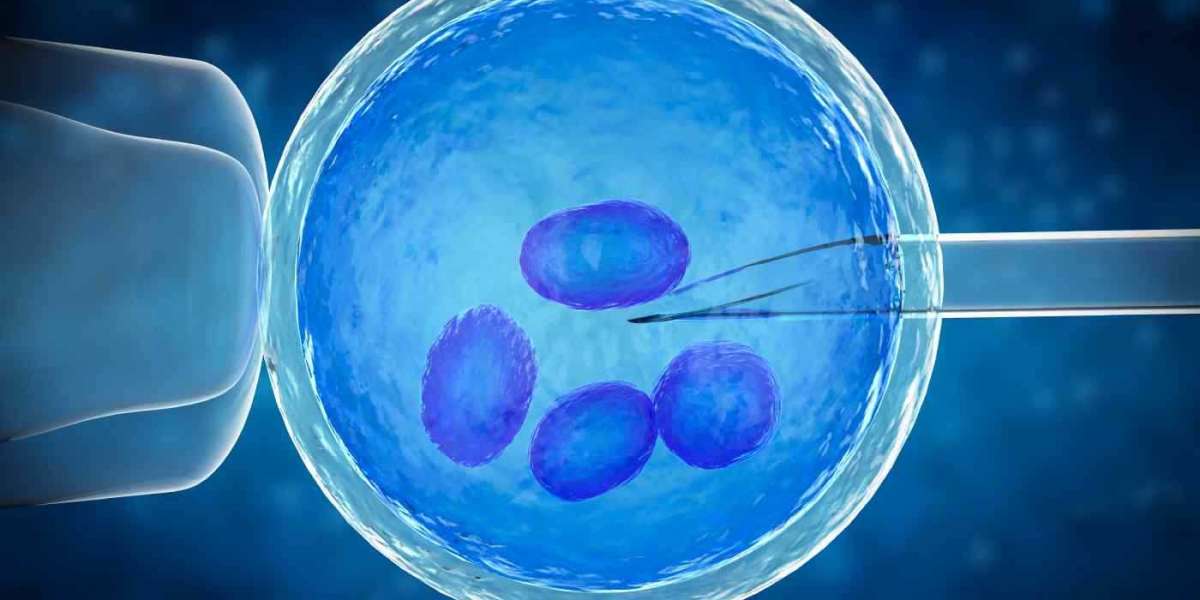 Preimplantation Genetics Diagnosis Market Insight | Outlook | Growth Analysis Report 2032