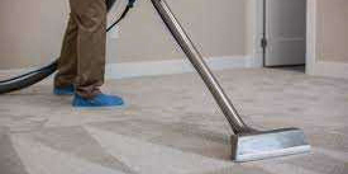 Why Every Home Needs the Lasting Benefits of Professional Carpet Cleaning