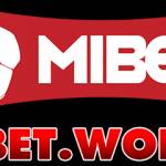 mibetworks Profile Picture