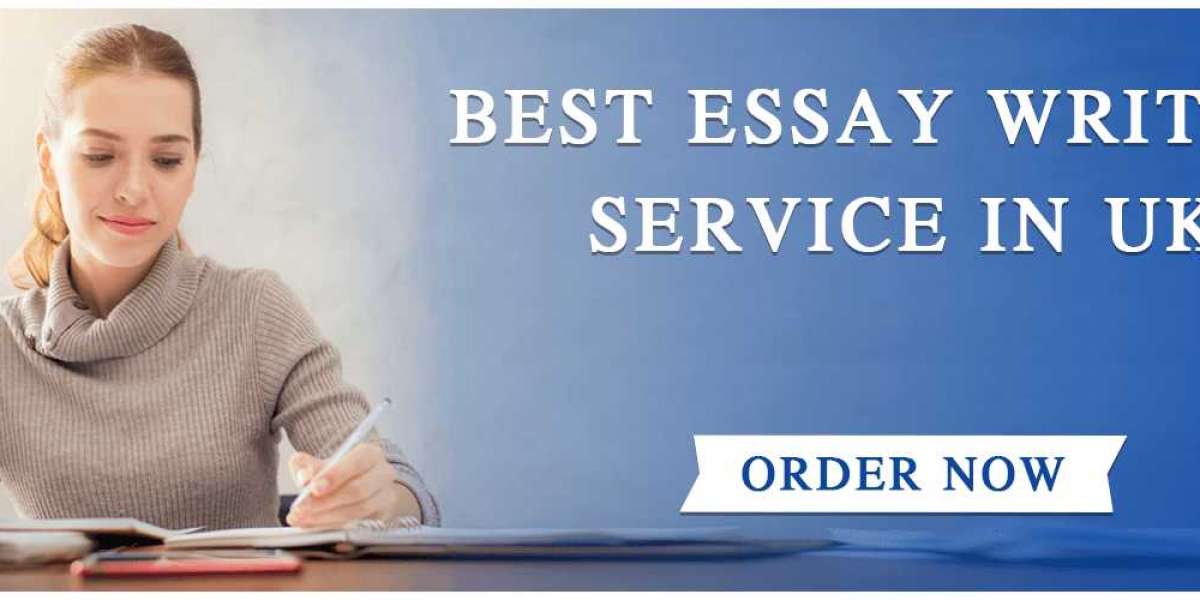 What to Look for in a Professional Online Essay Help