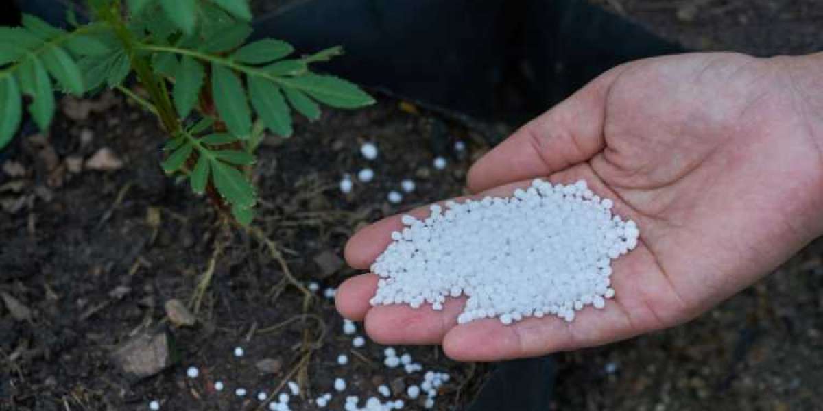 Europe Fertilizer Market Analysis: Forecast Report 2024-2032