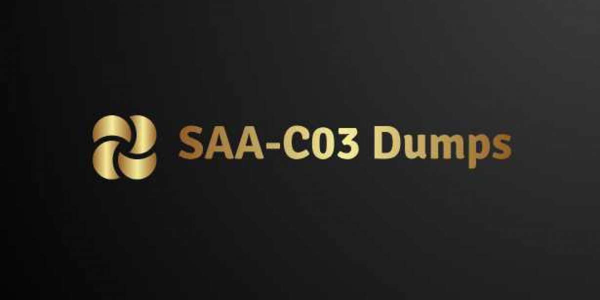 How to Effectively Review SAA-C03 Exam Dumps