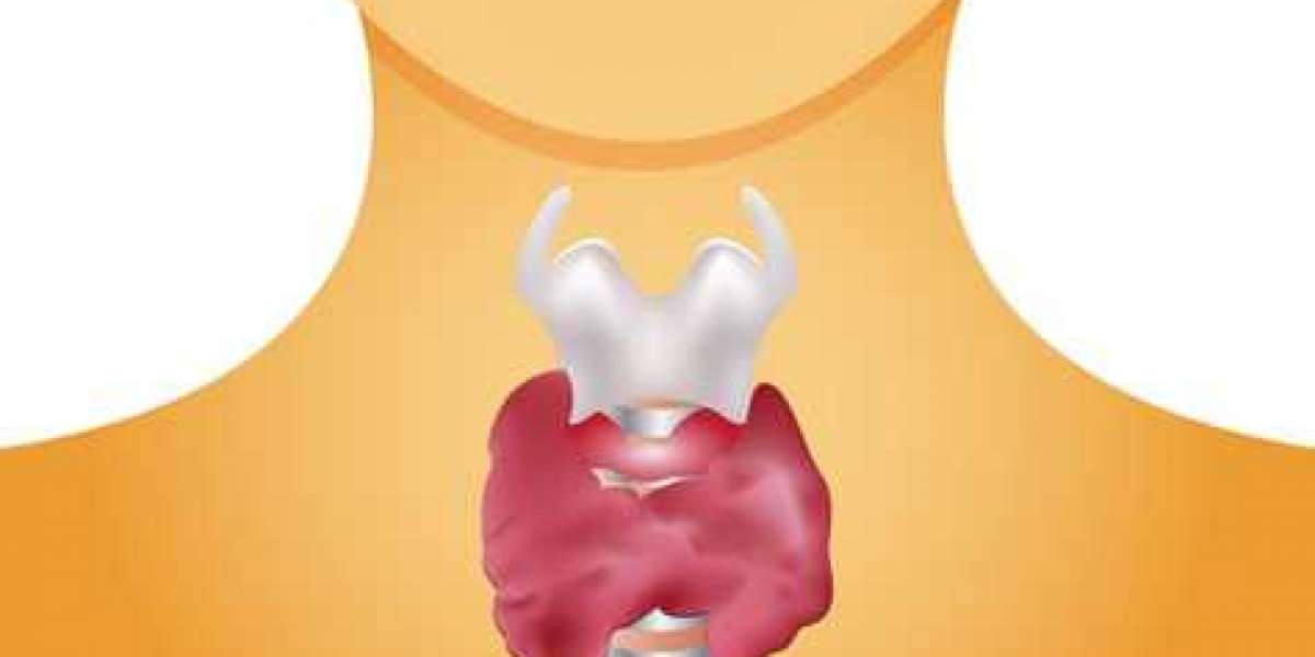 Understanding the Thyroid Gland: Function, Disorders, and Treatment Options