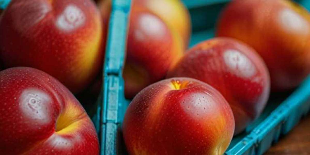 Nectarines Prices, Trend & Forecast | Industry Analysis