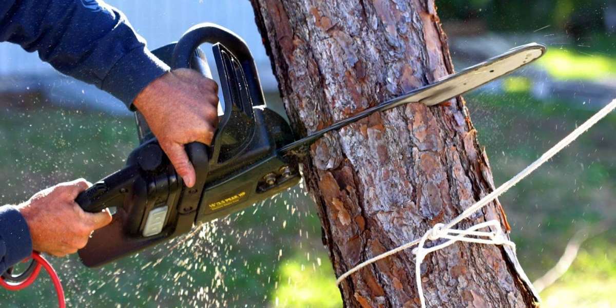 How to Find the Right Residential Tree Removal Service