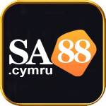 sa88cymru Profile Picture