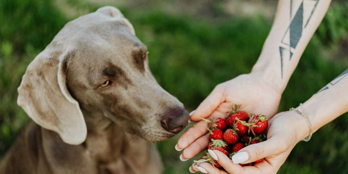 Are Strawberries Good For Dogs