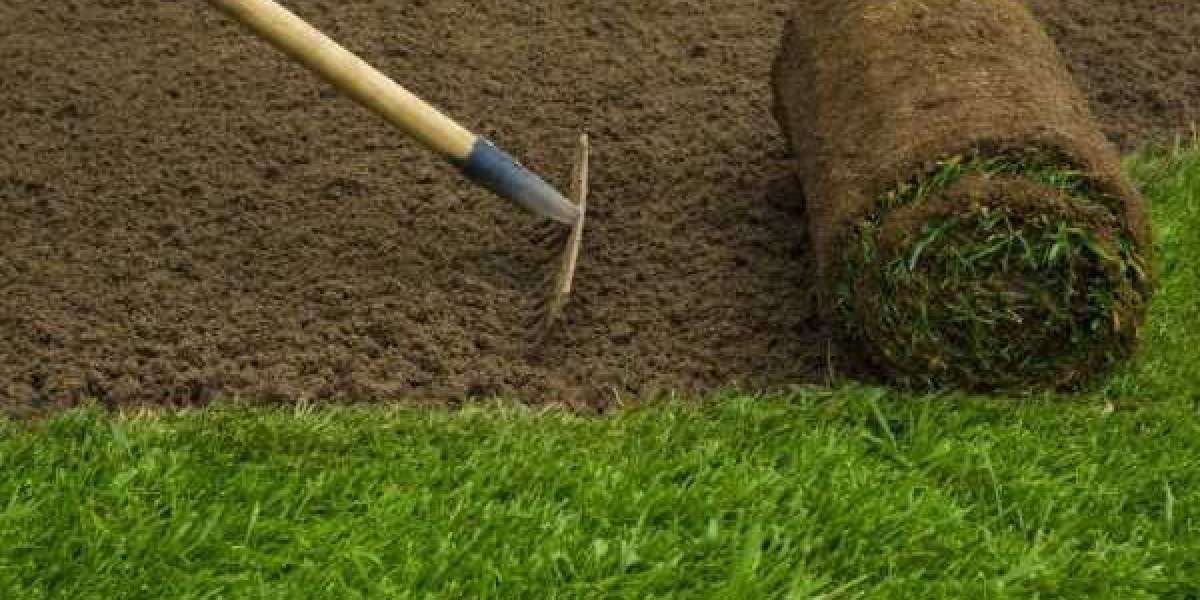 Grass is Greener on Our Side: The Benefits of Premium Sod