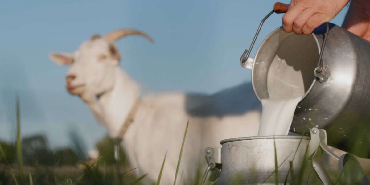 The Hidden Benefits of Goat Milk for Health, Digestion, and Skin