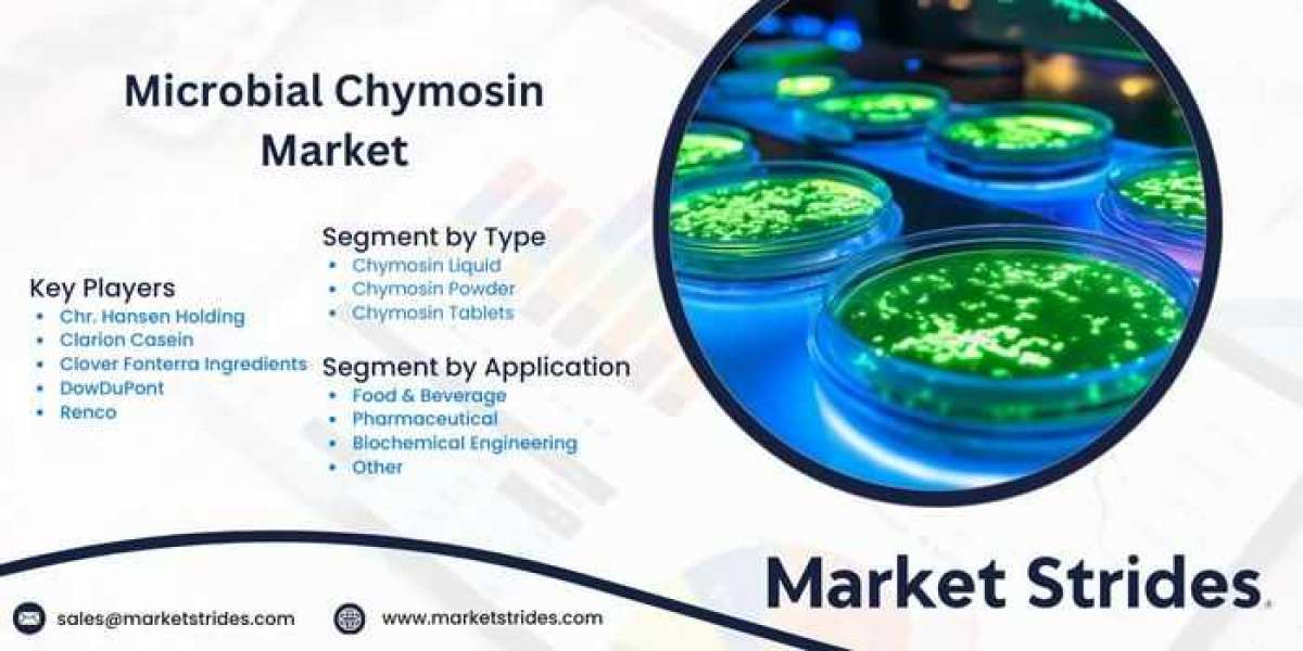 Microbial Chymosin Market: Insights and Forecast to 2031 | Market Strides