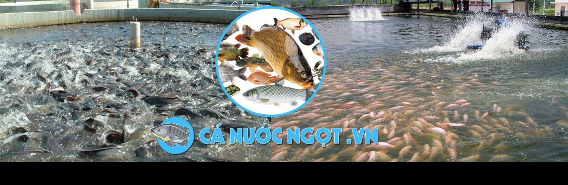 canuocngot Cover Image