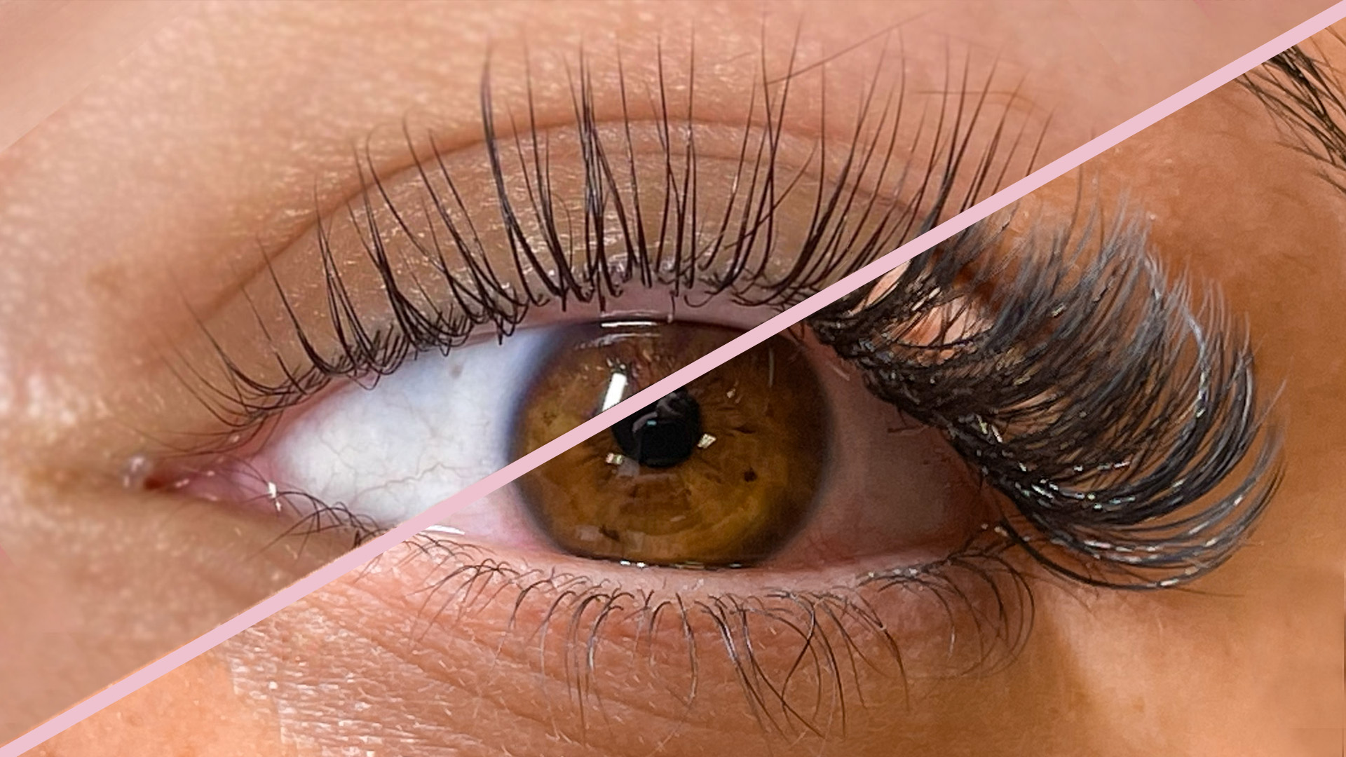 Top 5 Things to Look for in a Quality Lash Lift Course - AtoAllinks