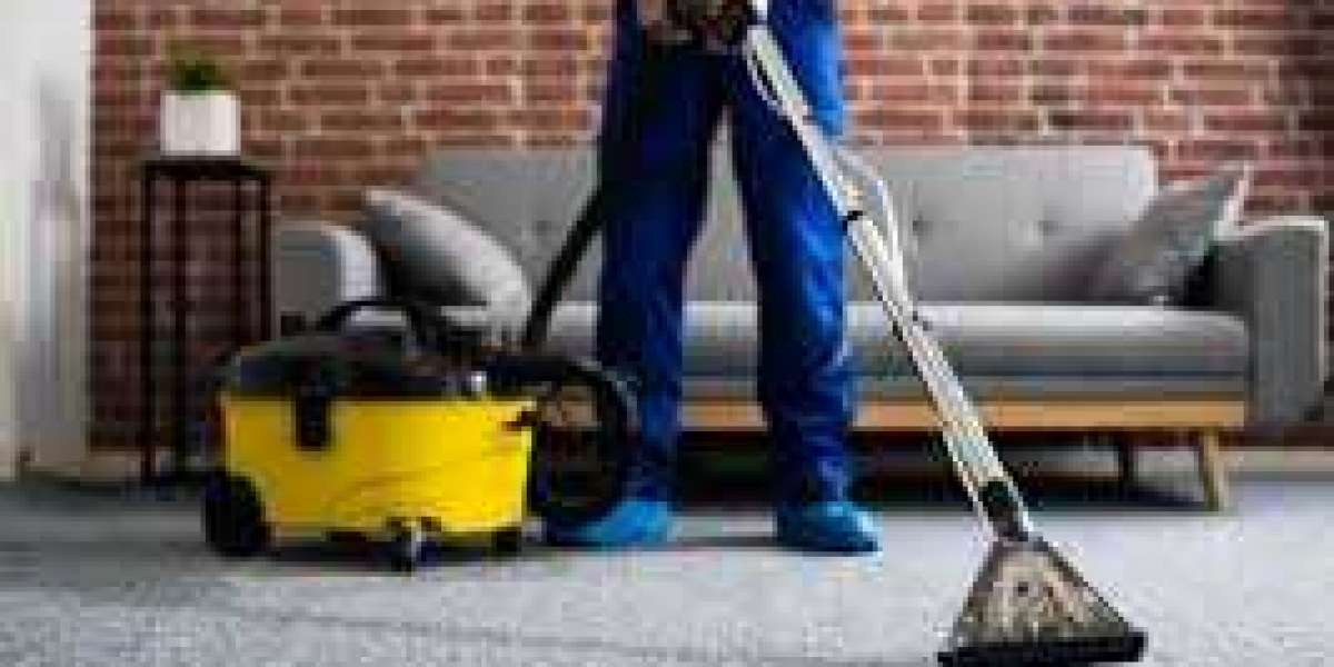 Why Every Pet Owner Needs Professional Carpet Cleaning Services