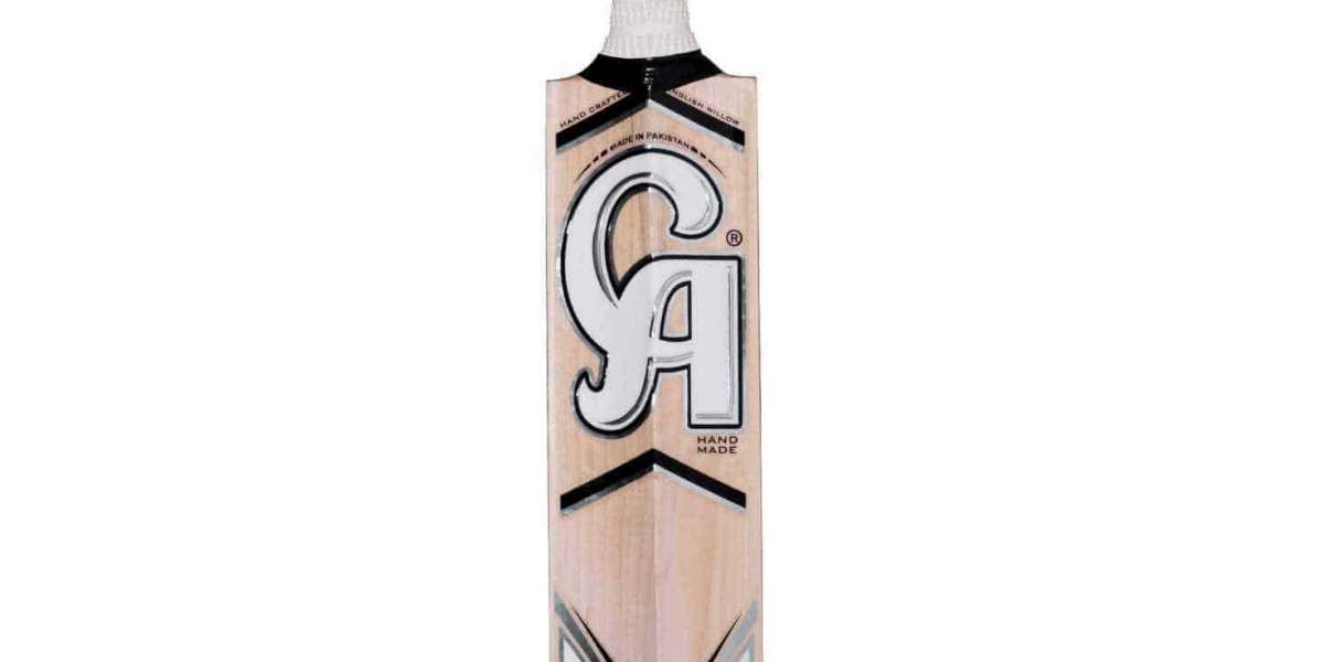 The Evolution of Cricket Bats: From Tradition to Technology