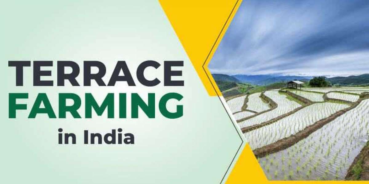 A Comprehensive Guide to Terrace Farming, Tillage Equipment, Tractor Insurance, and Lemon Farming in India