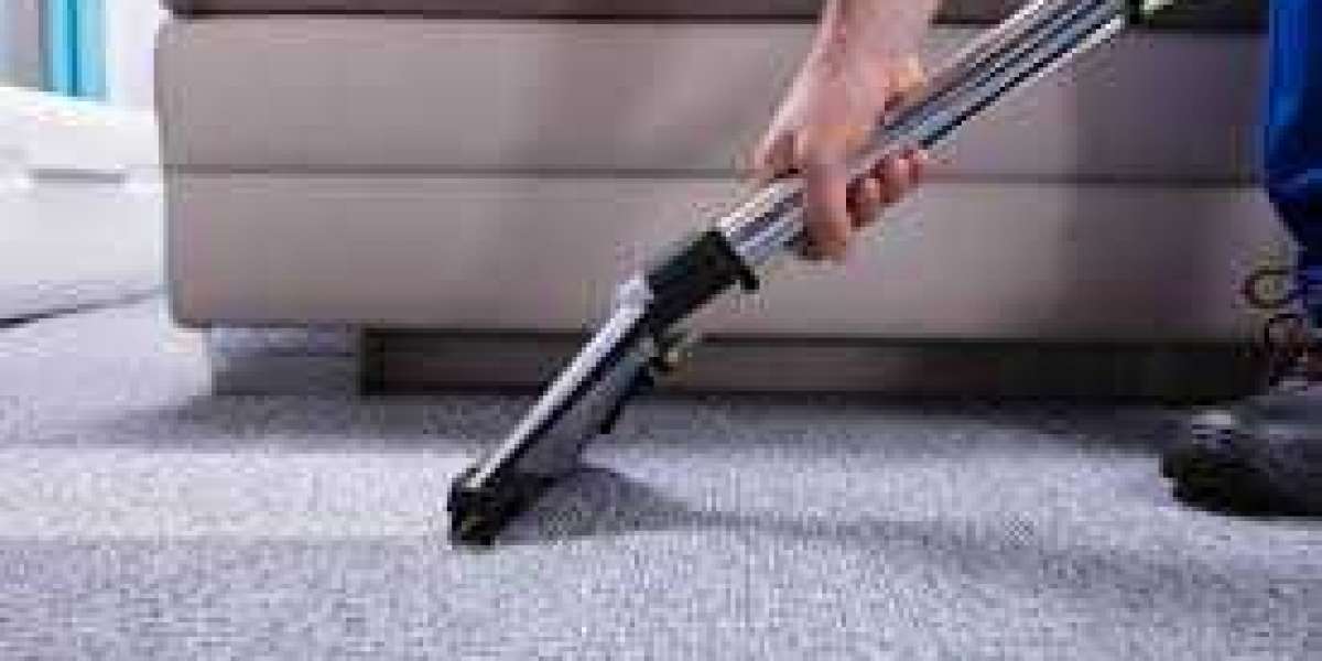 The Benefits of Professional Carpet Cleaning for Homes with Children