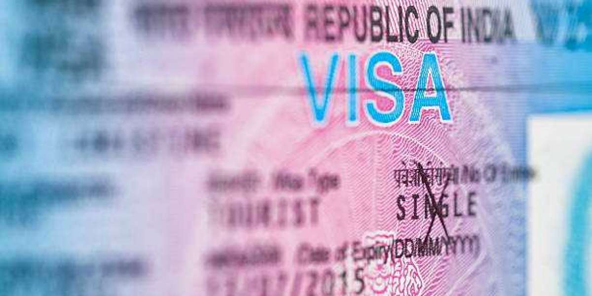 Navigating the EB1A Visa and O1 Visa Requirements: How Brandosaur Can Help You Shine