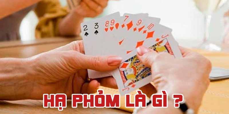 Hạ Phỏm Là Gì Và Những Thông Tin Chi Tiết Về Phỏm