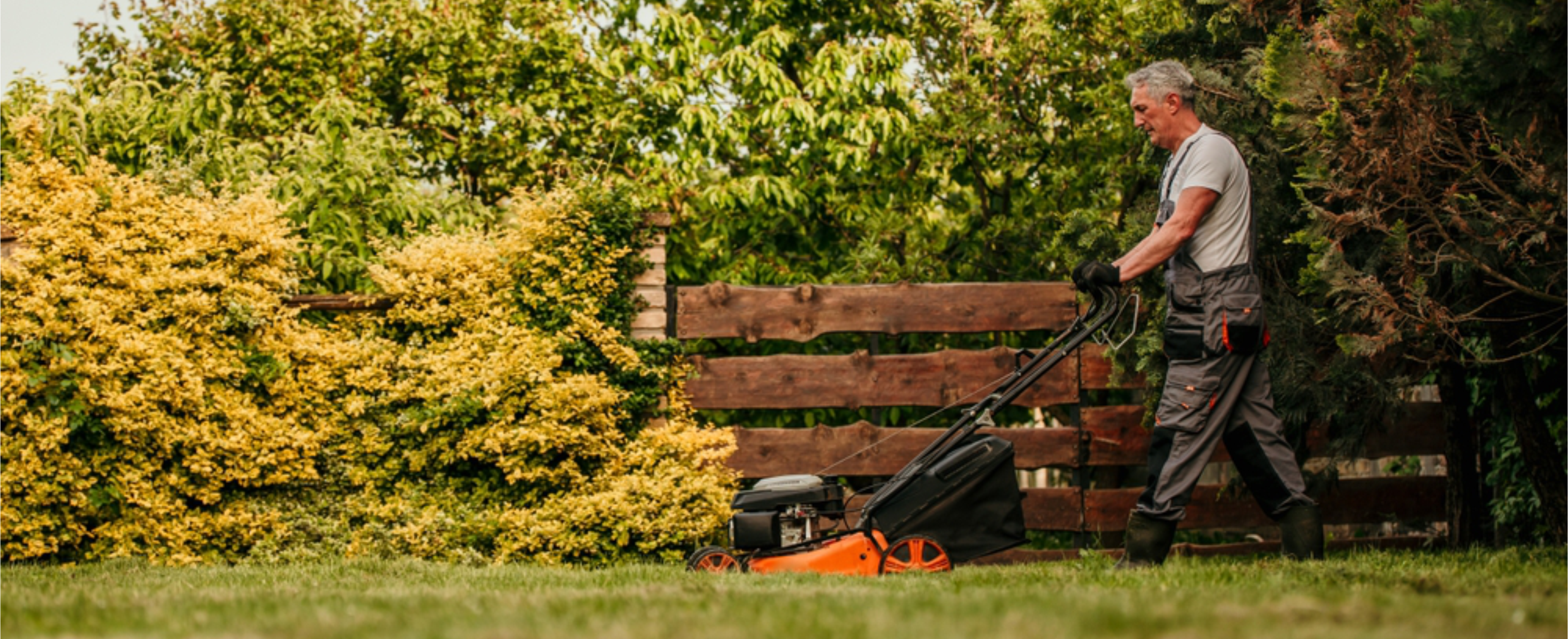 Gardening Services Adelaide | BP Blitz Garden Maintenance Services