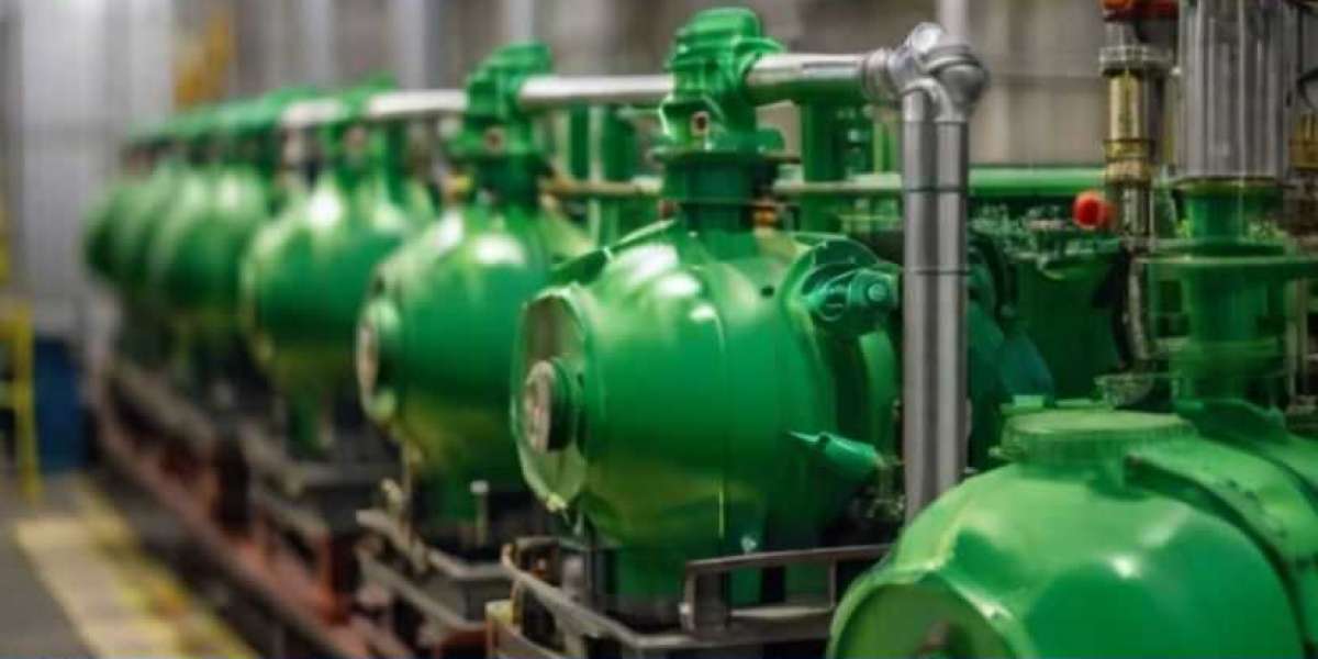 Green Hydrogen Manufacturing Plant Project Report 2024: Required Materials and Setup