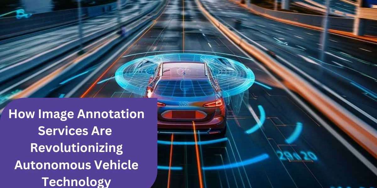 How Image Annotation Services Are Revolutionizing Autonomous Vehicle Technology