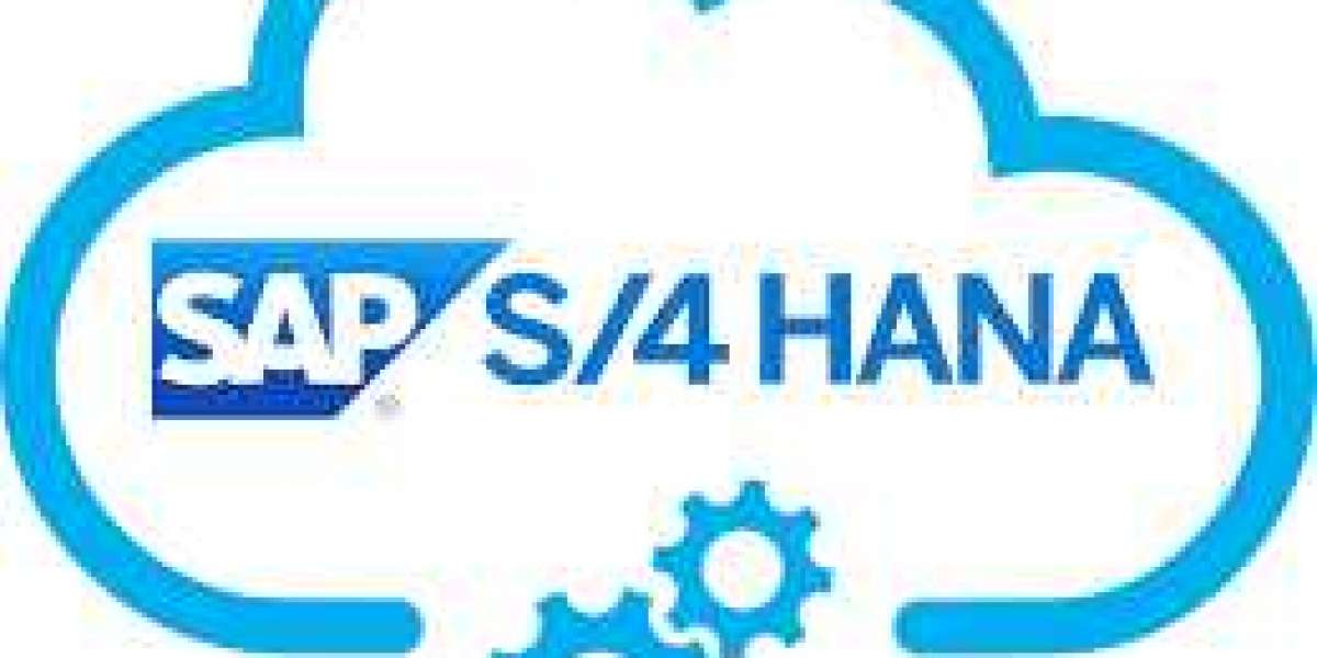 Are SAP HANA Courses in Pune Suitable for Beginners or Experienced Professionals?