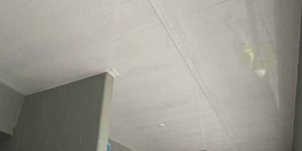 How Manufacturers Produce Interlocking Single-Skin Ceiling Panels for Minimum Security Applications