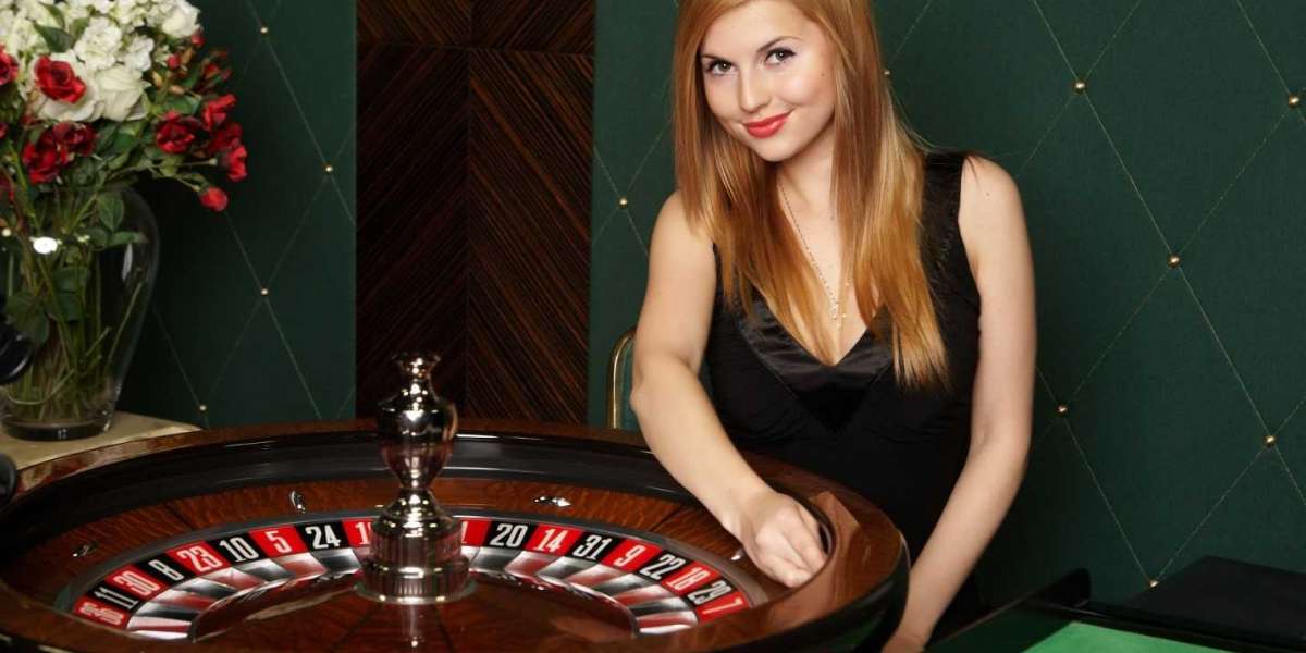 The Ultimate New Zealands Guide to Playing Real Money Online Slots