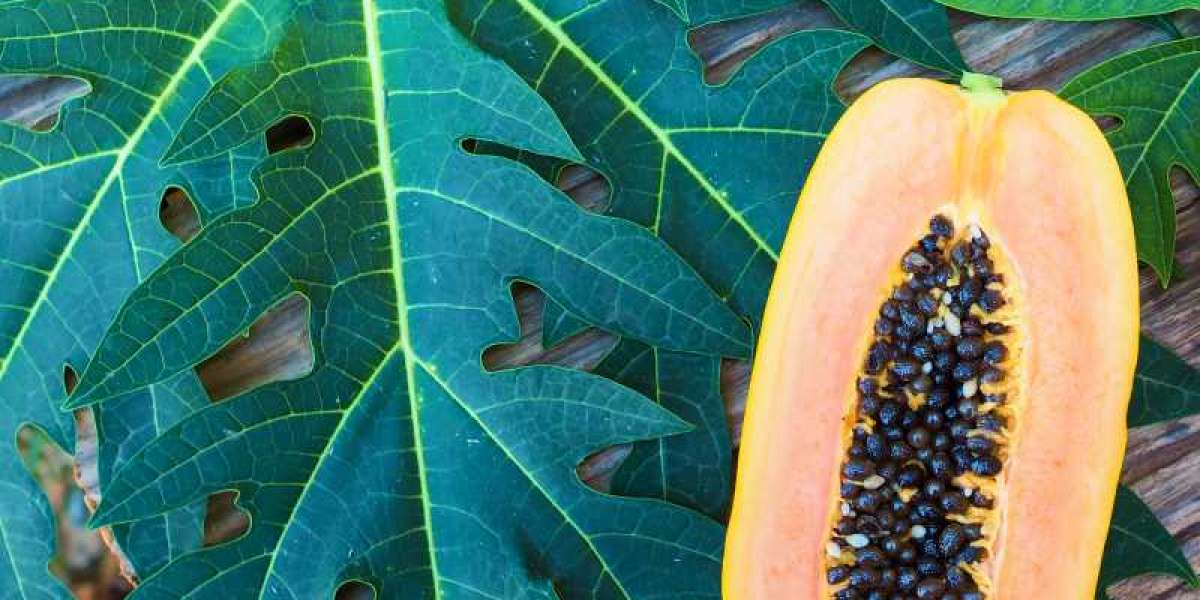 Surprising Health Benefits of Papaya Leaves