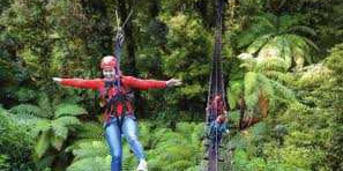 Flying High: My Thrilling Ziplining Adventure in Rotorua